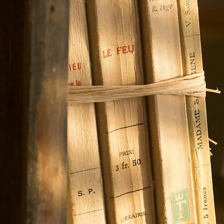 Le Petit Chomel Hotel 3*