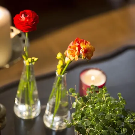 Maison Chomel Hotel Paris